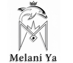 Заявка на торговельну марку № m202522922