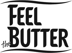 Свідоцтво торговельну марку № 309433 (заявка m202101232): feel butter