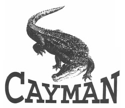 Свідоцтво торговельну марку № 169558 (заявка m201204666): cayman