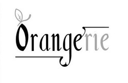Свідоцтво торговельну марку № 317521 (заявка m202009139): orange rie; orangerie