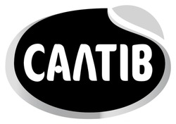 Заявка на торговельну марку № m202512066: салтів