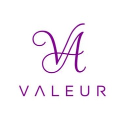 Заявка на торговельну марку № m202506979: va valeur