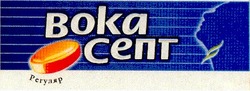 Свідоцтво торговельну марку № 103571 (заявка m200717169): boka; вокасепт; регуляр
