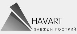Заявка на торговельну марку № m202508538: завжди гострий; havart