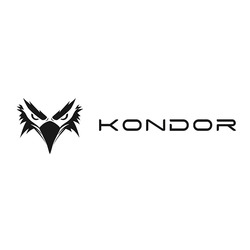 Заявка на торговельну марку № m202423530: kondor