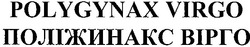 Свідоцтво торговельну марку № 48389 (заявка 2003044105): polygynax virgo; поліжинакс вірго