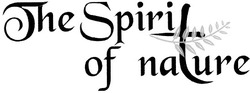 Свідоцтво торговельну марку № 62382 (заявка 20040909964): the spirit of nature