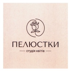 Заявка на торговельну марку № m202520483: студія квітів; пелюстки