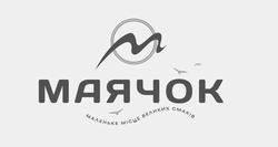 Заявка на торговельну марку № m202609005
