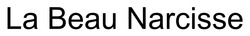 Заявка на торговельну марку № m202606995: la beau narcisse