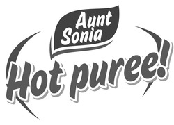 Заявка на торговельну марку № m202407034: aunt sonia hot puree!