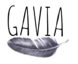 Свідоцтво торговельну марку № 308496 (заявка m201922680): gavia