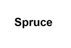 Заявка на торговельну марку № m202212667: spruce