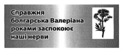 Свідоцтво торговельну марку № 217357 (заявка m201502608): справжня болгарська валеріана роками заспокоює наші нерви
