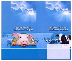 Свідоцтво торговельну марку № 232268 (заявка m201608609): якісна годівля свійських тварин