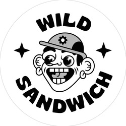 Заявка на торговельну марку № m202302492: wild sandwich