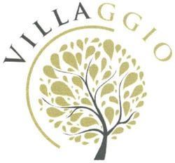 Свідоцтво торговельну марку № 242870 (заявка m201621770): villaggio