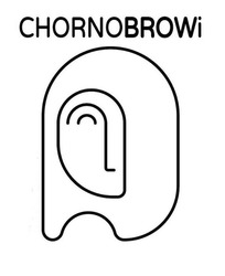 Свідоцтво торговельну марку № 346466 (заявка m202210646): chornobrowi