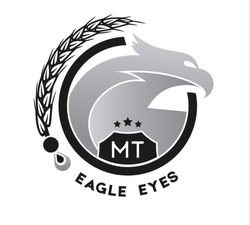 Заявка на торговельну марку № m202306020: мт; eagle eyes; mt
