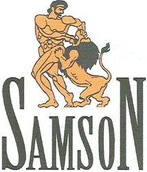 Заявка на торговельну марку № m200615281: samson