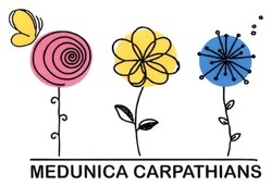 Свідоцтво торговельну марку № 298005 (заявка m201808024): medunica carpathians