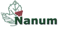 Свідоцтво торговельну марку № 291448 (заявка m201908157): nanum