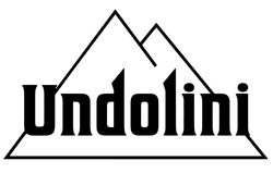 Свідоцтво торговельну марку № 316066 (заявка m202012619): undolini