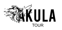 Свідоцтво торговельну марку № 317815 (заявка m202008238): akula tour