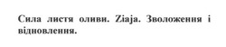 Заявка на торговельну марку № m201819308: сила листя оливи; зволоження і відновлення; ziaja