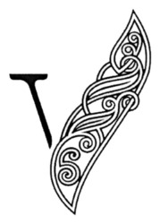 Свідоцтво торговельну марку № 366024 (заявка m202307546): v