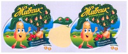 Свідоцтво торговельну марку № 232104 (заявка m201604861): живчик зі смаком груші; містить сік та екстракт шипшини