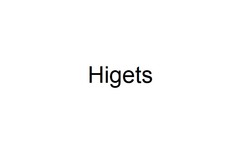 Заявка на торговельну марку № m202210618: higets