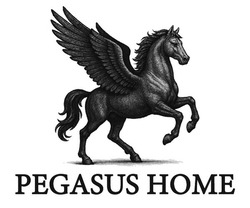 Заявка на торговельну марку № m202509569: pegasus home