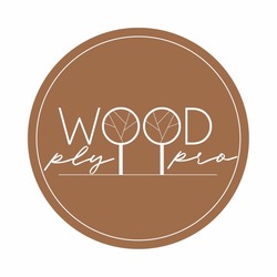 Заявка на торговельну марку № m202016799: plywoodpro; ply wood pro