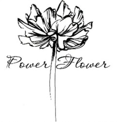 Свідоцтво торговельну марку № 307172 (заявка m201908395): power flower