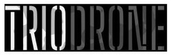 Заявка на торговельну марку № m202516652: trio drone; triodrone