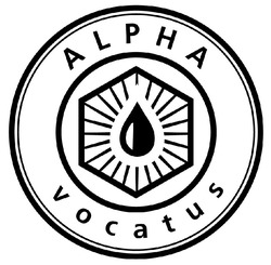 Заявка на торговельну марку № m202115905: alpha vocatus