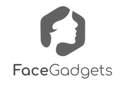 Заявка на торговельну марку № m202008954: facegadgets; face gadgets