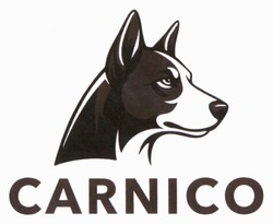 Заявка на торговельну марку № m202517943: carnico