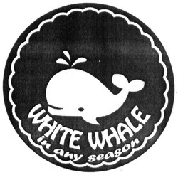 Заявка на торговельну марку № m201929807: white whale in any season