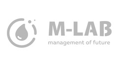Заявка на торговельну марку № m201927586: management of future; m-lab