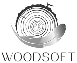 Свідоцтво торговельну марку № 312413 (заявка m202005900): woodsoft