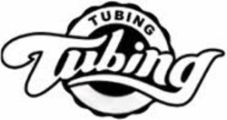 Свідоцтво торговельну марку № 345638 (заявка m202204365): tubing