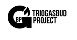 Свідоцтво торговельну марку № 319628 (заявка m201931427): bp; вр; triogasbud project