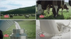 Заявка на торговельну марку № m202304206: ферма