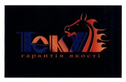 Заявка на торговельну марку № m201620114: teky; теку; гарантія якості