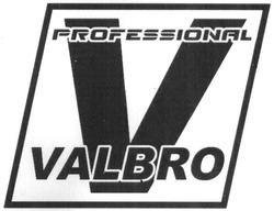 Свідоцтво торговельну марку № 298337 (заявка m201903009): professional valbro