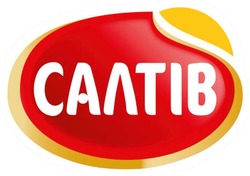 Заявка на торговельну марку № m202512065: салтів