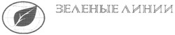 Заявка на торговельну марку № m200608750: зеленые линии