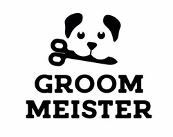 Свідоцтво торговельну марку № 335366 (заявка m202118531): groom meister